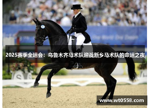 2025赛季全运会：乌鲁木齐马术队迎战新乡马术队的命运之夜